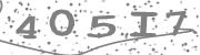 Type the letters in the image or Type the first letter of the words spoken in the audio.