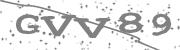 Type the letters in the image or Type the first letter of the words spoken in the audio.