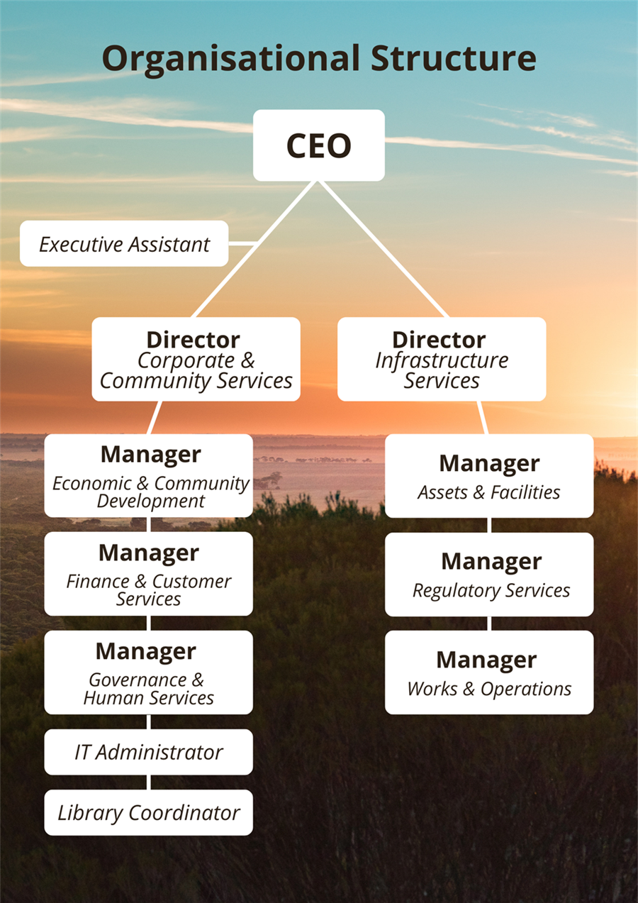 Organisational Structure.png