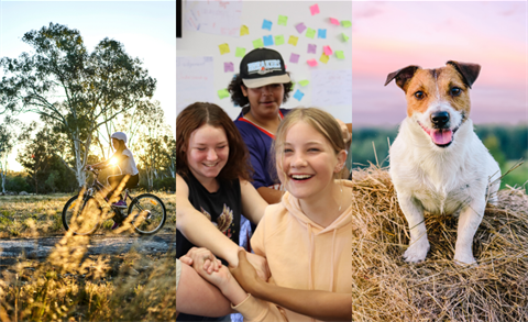 Adopted Documents Dec 2025.png