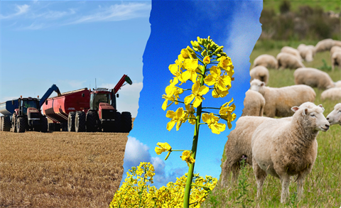 Farmer Consultation.png