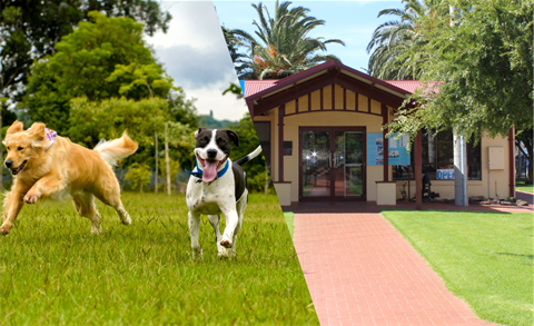 Have Your Say Tiny Town Fund Applications.png