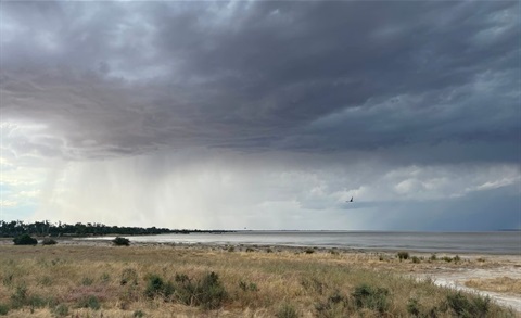 Lake Hindmarsh.jpg