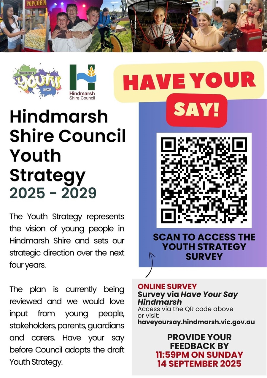 Youth Strategy Have your Say Poster 2025.jpg
