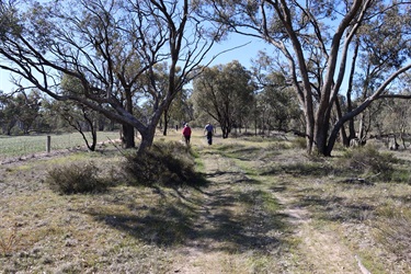 Walkers-along-the-Wimmera-River-Discovery-Trail-near-Antwerp.jpg