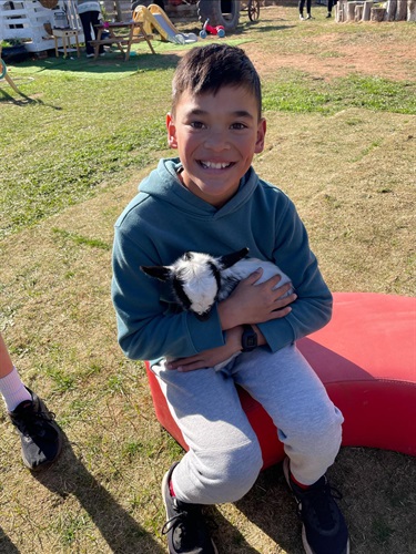 Tiny Goats and Co