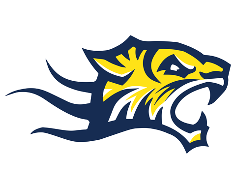 NDSC logo
