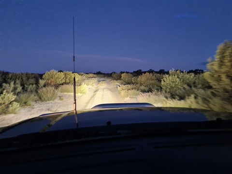 4WD at night.jpg