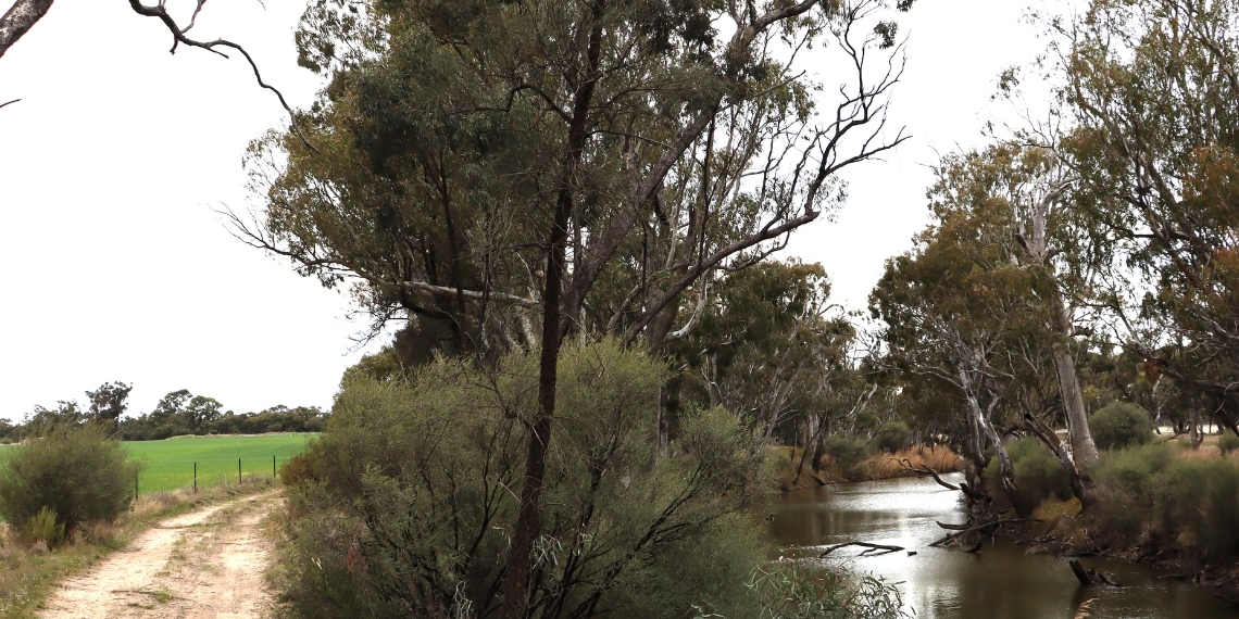 Trail and River.png