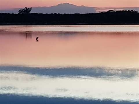 pink lake.jpg