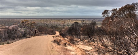 Little Desert track into campground.jpg