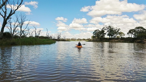 wimmera river paddling.jpg